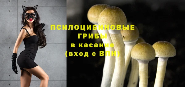 хмурый Волоколамск