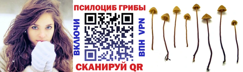 Галлюциногенные грибы мухоморы  ОМГ ОМГ онион  Ирбит  купить  